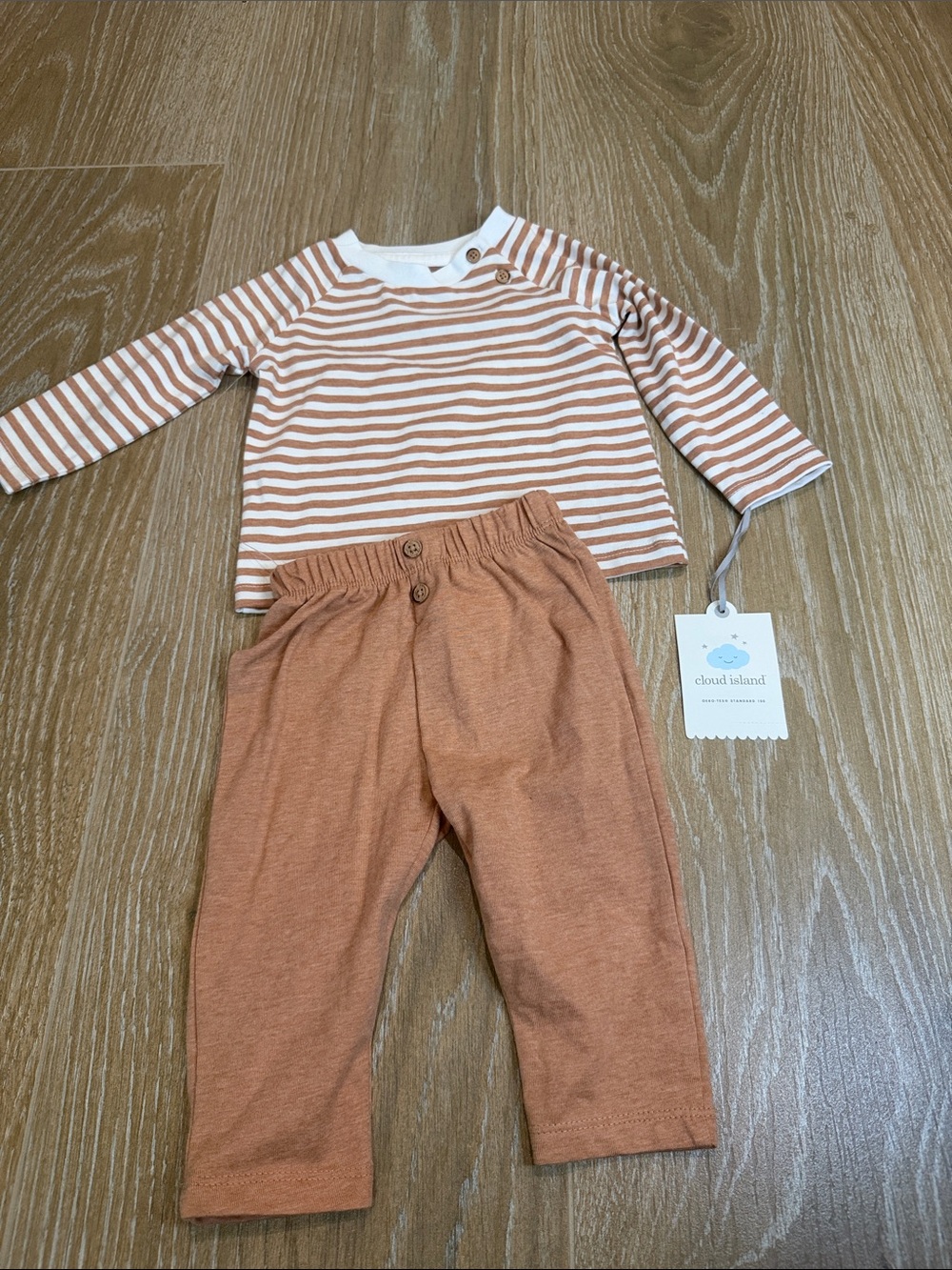 cloud island Brown Stripe Top and Solid Brown Pant Set Baby NWT  6-9M